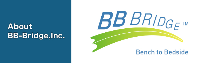 About BB-Bridge,Inc.