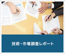 技術・市場調査レポート